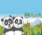 Panfu κόσμο panda